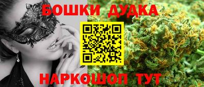 jwh Кингисепп