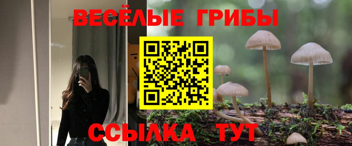 Галлюциногенные грибы мухоморы  Псилоцибиновые грибы мухоморы  Вход с VPN  Кулебаки 