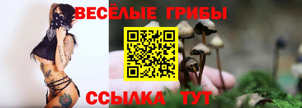 Галлюциногенные грибы MAGIC MUSHROOMS Кулебаки